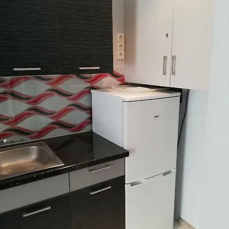 Apartment Vila Dana Palanga