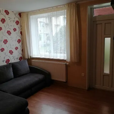 Vila Dana Apartment *