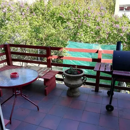 Apartment Vila Dana